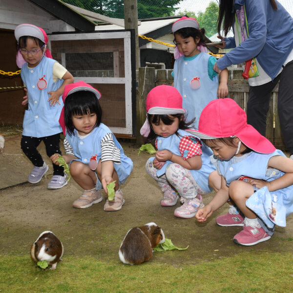 稚内ひかり幼稚園・きらきら保育園（3・4・5歳児）８月の予定