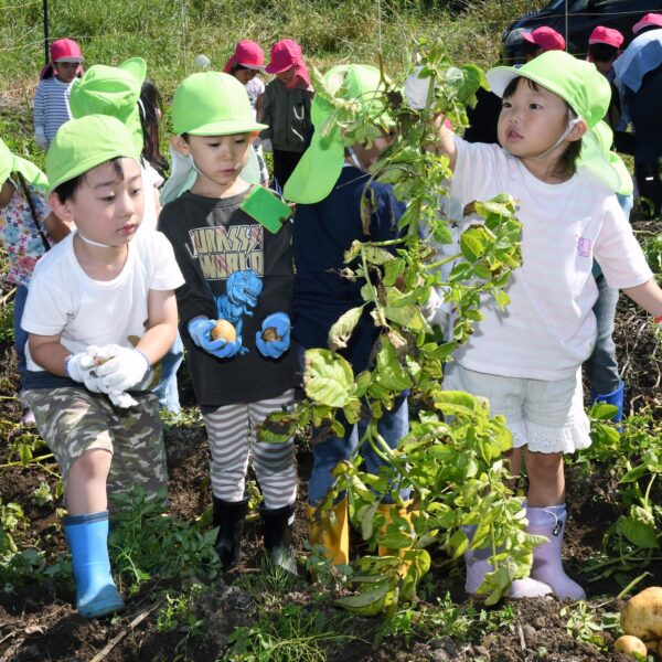 稚内ひかり幼稚園・きらきら保育園（３・４・５歳児）９月の予定